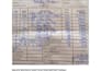 do copy typing from images, handwritten notes, or scanned documents